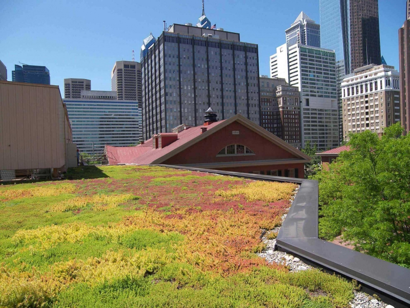 paysagiste-ST RAPHAEL-min_green-roof-portfolio-4